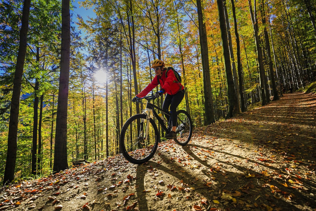Four reasons to ride: what type of cyclist are you?