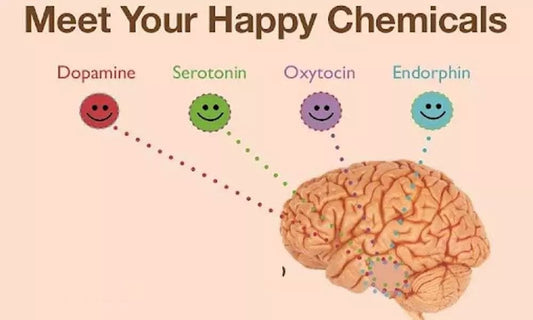 This is what regular biking does to your body