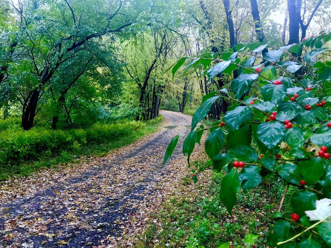 Getting outdoors: The 3,000 mile, 15-state biking greenway