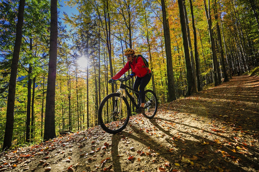 Four reasons to ride: what type of cyclist are you?