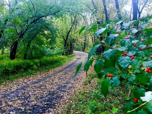 Getting outdoors: The 3,000 mile, 15-state biking greenway