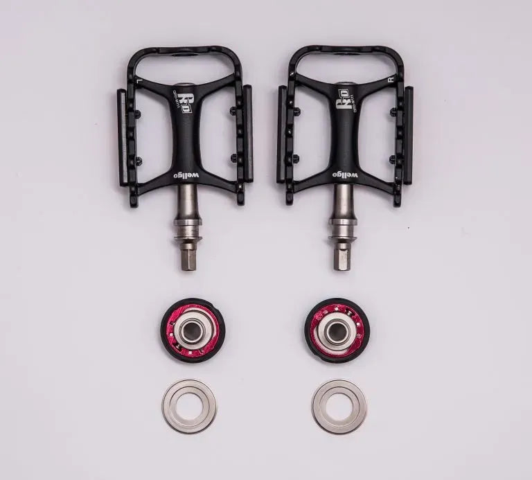 Removable Pedals (Wellgo)